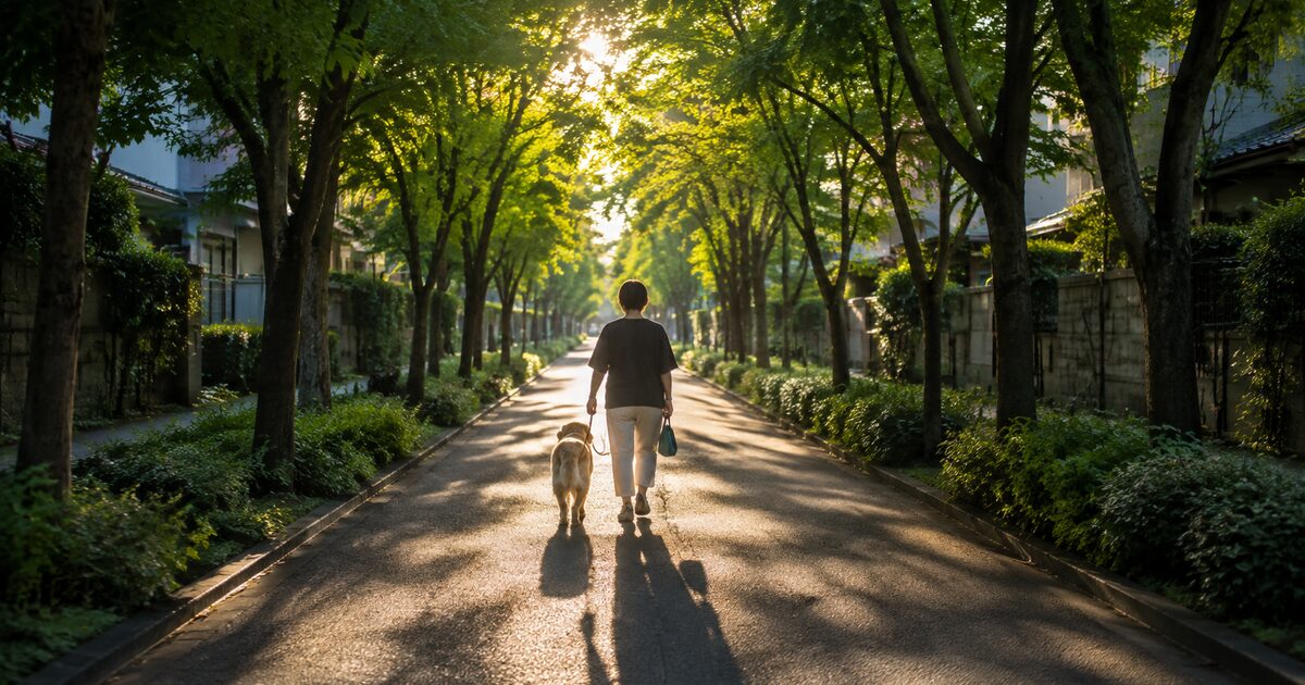 朝の涼しい時間に散歩する犬