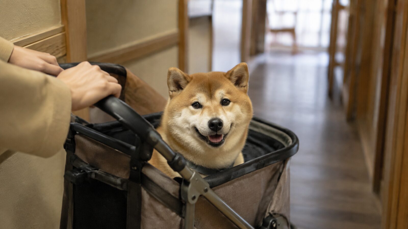 宿の客室で犬用の寝床とトイレの位置を整えるイメージ